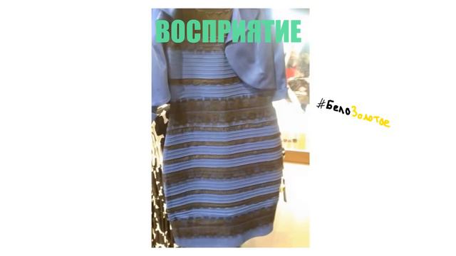 ВСЯ ПРАВДА ПРО ПЛАТЬЕ!