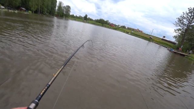 Рыбалка на осетра! Как поймать осетра на удочку, ловля на селёдку. смотреть онлайн