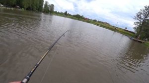 Рыбалка на осетра! Как поймать осетра на удочку, ловля на селёдку.