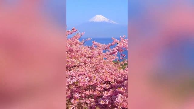 Гора Фудзияма ?