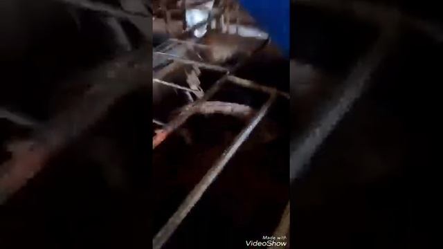 Кухня для приготовления кормов для норок смотреть онлайн