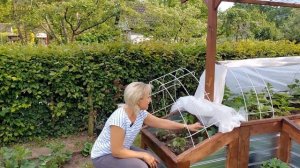 Обзор дачи в Германии после отпуска. Вернуться в Германию. @galabum