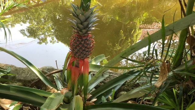 Вьетнам - 2019г.