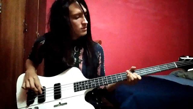 Кино - Звёзды останутся здесь/ Kino - Zvezdi Ostanutsya Zdes (bass cover) смотреть онлайн