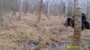 Один на один на Даче. Серия 2.