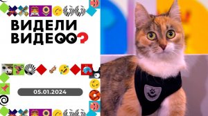 Видели видео? Выпуск от 05.01.2024