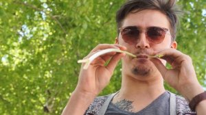 свистелки из одуванчиков