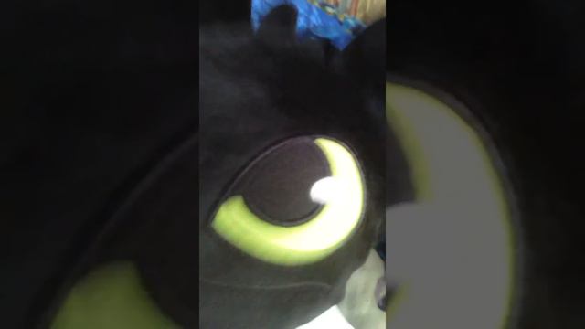 Беззубик и дневная фурия