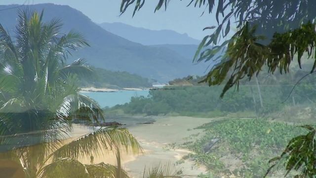 Мечта об океане (Великолепные виды на океан и инструментальная музыка) / Ocean HD Lounge смотреть онлайн