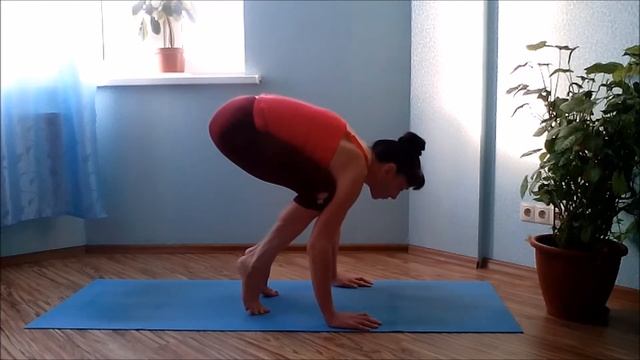 Бакасана Поза журавля Балансовая асана Хатха йога смотреть онлайн