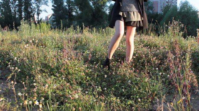 clover смотреть онлайн