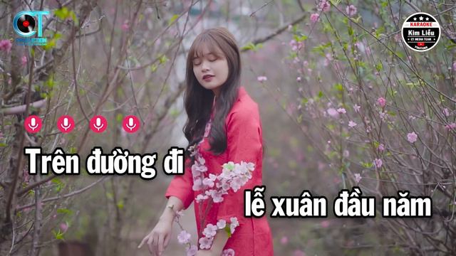 Karaoke Câu Chuyện Đầu Năm Tone Nam Am || Nhạc Xuân Mới | Karaoke Kim Liễu смотреть онлайн
