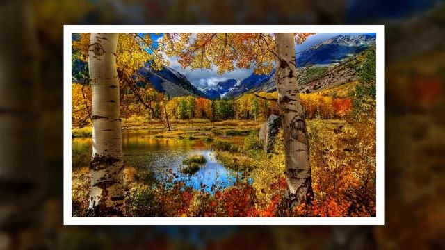 Золотая осень! Релаксация! смотреть онлайн