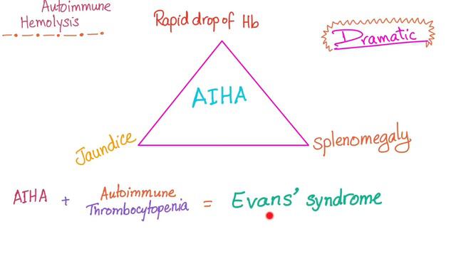 Autoimmune Hemolytic Anemia; warm autoantibodies смотреть онлайн