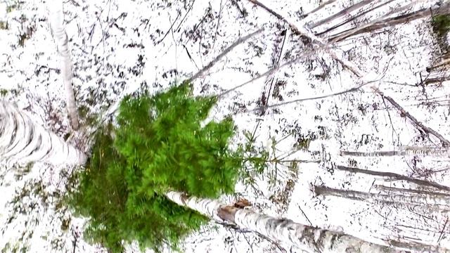Экспедиция к истоку реки Алатырь. Часть 2 смотреть онлайн