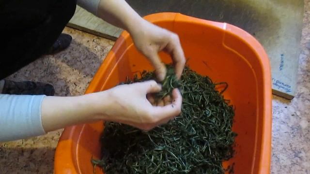 Тайные строки познания около магических позиций