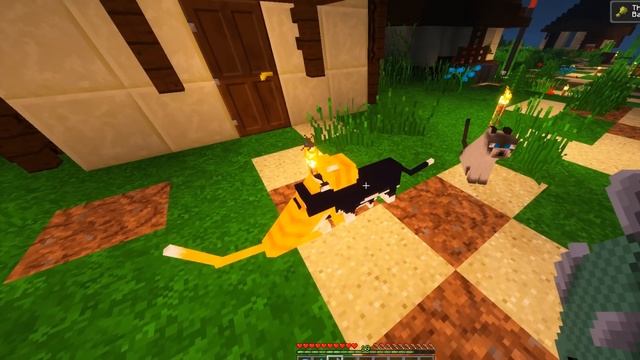 COMMENT AVOIR UN CHAT DANS MINECRAFT ? Astuce de MINECRAFT - Tuto смотреть онлайн