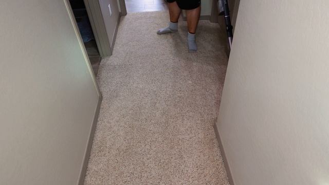 Shark Natural for 11 Minutes! Plus Bin Dumps смотреть онлайн