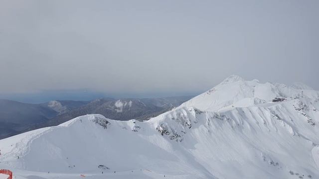 Роза Пик 2023-02-16_112244