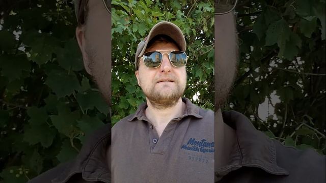 Нарциссы, абъюзеры постоянно пишут, никак не избавится. Что делать смотреть онлайн