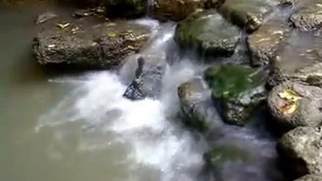 монастырь Сахарна, водопад смотреть онлайн