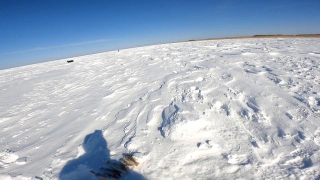 В поисках окуня ..... смотреть онлайн