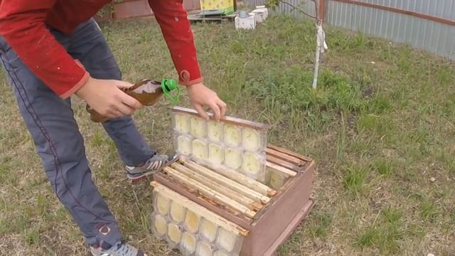 Правильная установка панского сота. смотреть онлайн