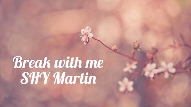 Break with me - SHY Martin (slowed & reverb) смотреть онлайн