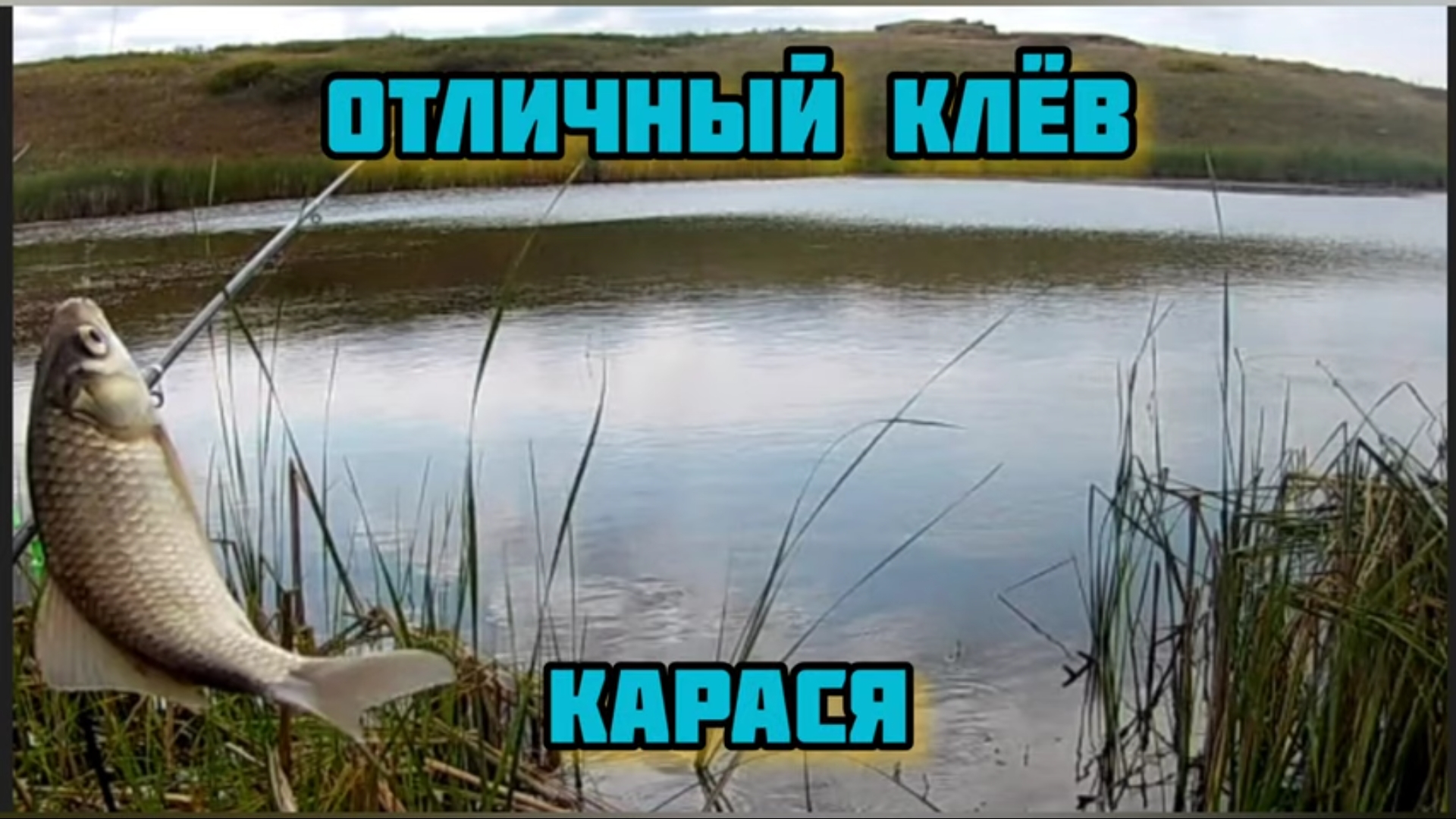 Отличный клёв карася ? смотреть онлайн