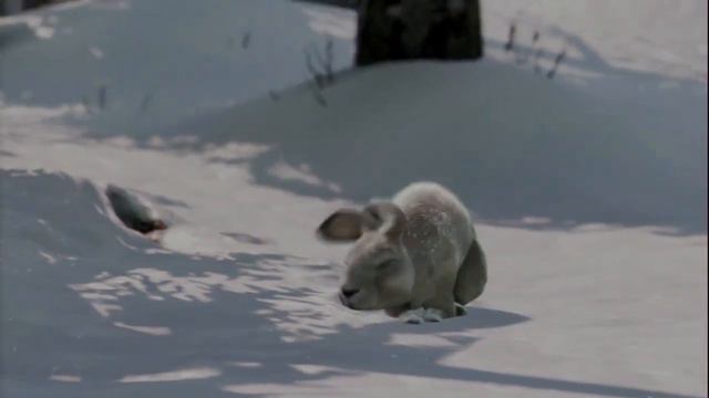 Ухты какой кролик! смотреть онлайн
