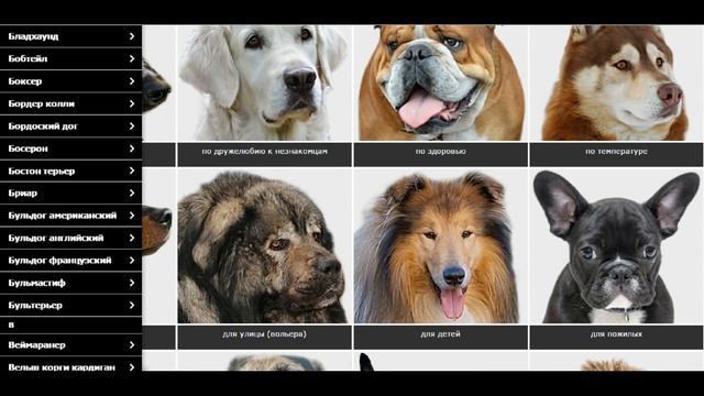 Приложение "Породы собак" для android смотреть онлайн