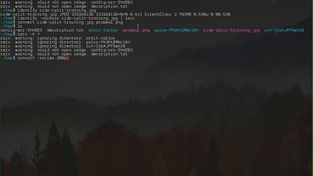 Operaciones Basicas Con ImageMagick En La Terminal De Linux смотреть онлайн