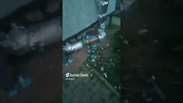 Давай заведем собачку))) смотреть онлайн