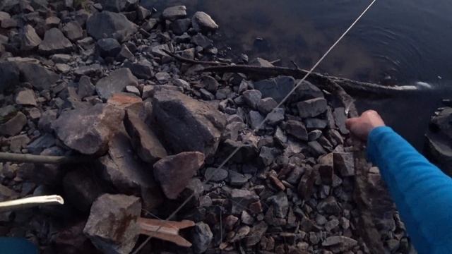 РЫБАЛКА НА ПРИПЯТИ с ночевкой!Резинка на живца,спиннинг фидер,тролинг!Беларусь! смотреть онлайн