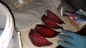 покраска яиц свёклой