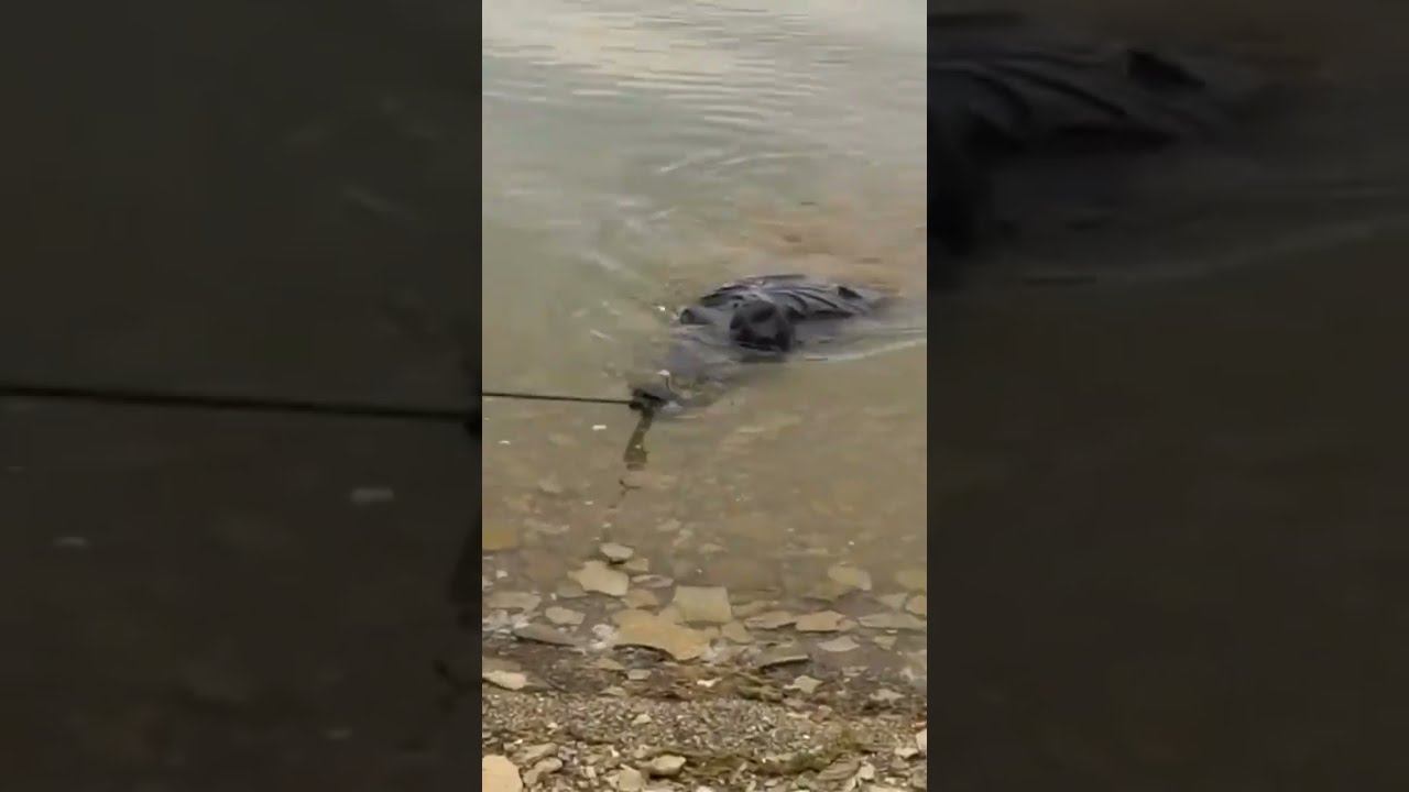 Никогда не кидайте магнит в воду в проклятых местах! смотреть онлайн
