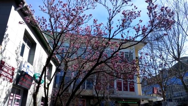 КРАСОТЫ ВЕСНЫ. смотреть онлайн