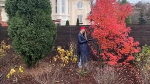 Осенний обзор молодого сада | Ландшафтный дизайн маленького участка | Ландшафтный дизайн 6 соток