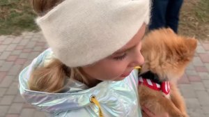 Как гулять со шпицем