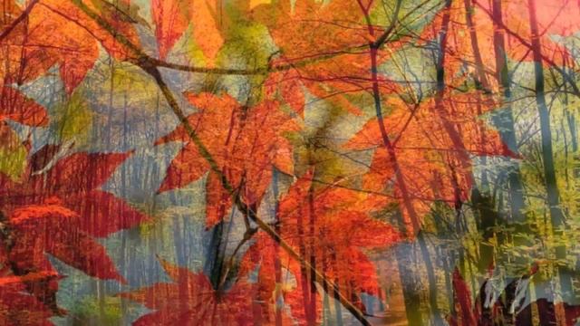 11 ноября повесьте это над дверью – семья под защитой будет! смотреть онлайн