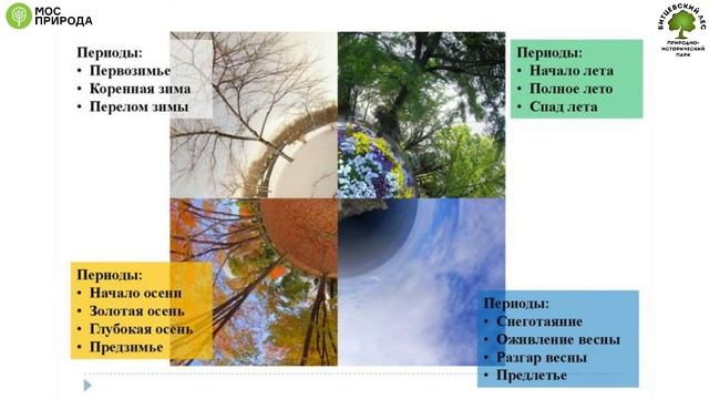 Лекция «День за днем проходит лето...» смотреть онлайн