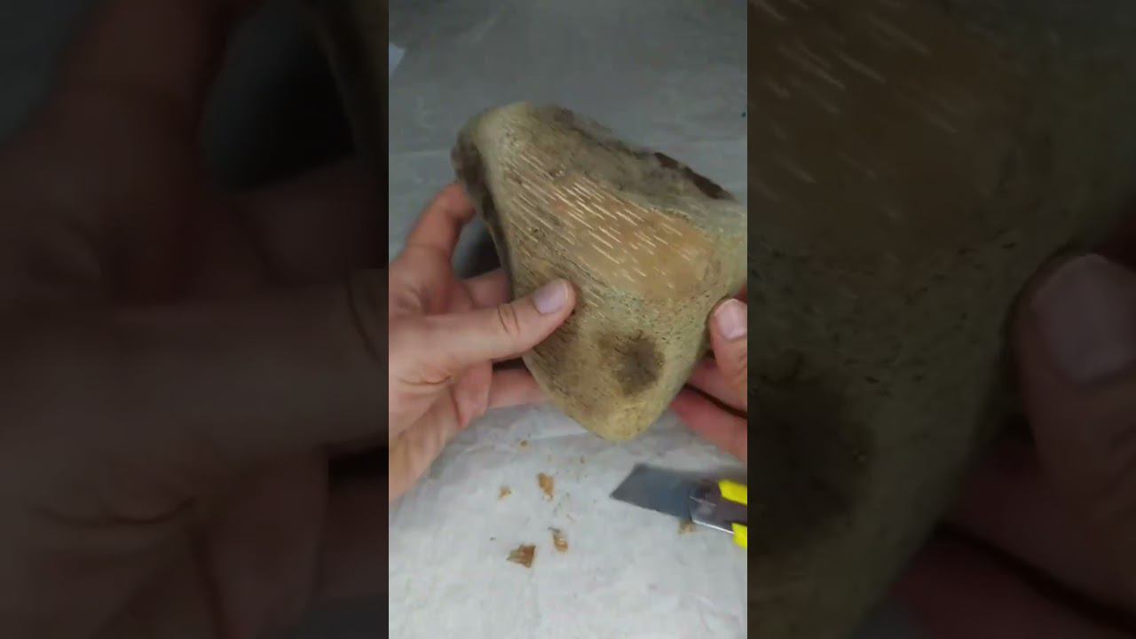 Создание drift-wood поделки! Роспись по дереву акрилом ТАИР от Анны ♥️ #art #diy смотреть онлайн