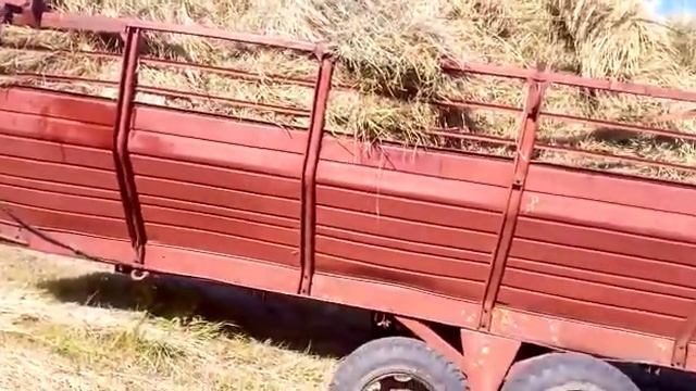 Сколько набивается сена. смотреть онлайн