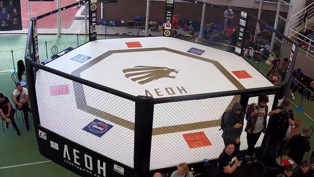 Прямая трансляция MMA смотреть онлайн
