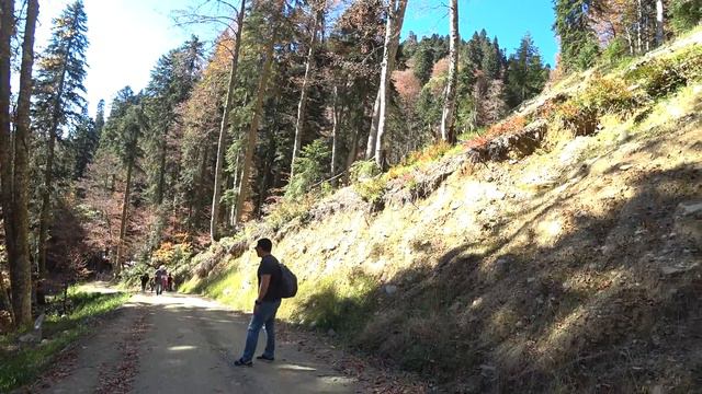 Всегда вперёд - единственный смысл #хроникимедовеи смотреть онлайн
