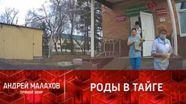 "Включи аиста!" Водитель такси принял роды в тайге смотреть онлайн
