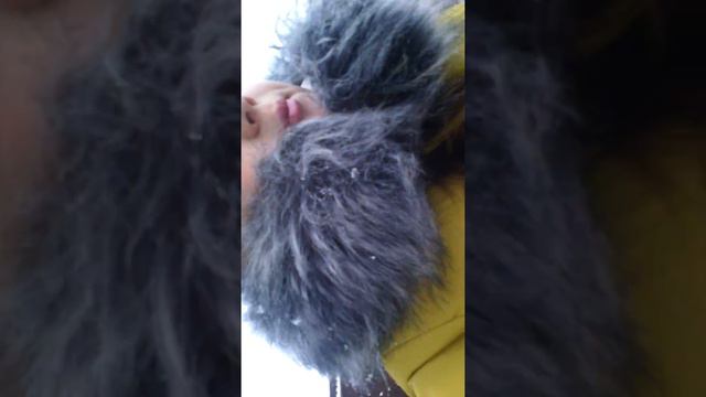 У меня новый питомец! Это собака, угадай породу собаки. И я скажу привет в видео. смотреть онлайн