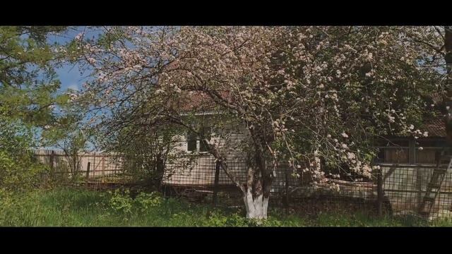 Из города в деревню. Лето! 5 серия #изгородавдеревню #ruslanlyudmila смотреть онлайн