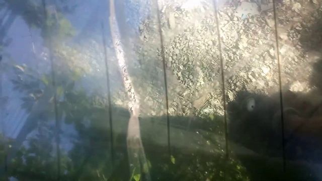 Как снять старую тонировку смотреть онлайн