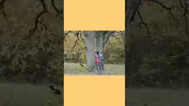 Поиск убежавшей лошадки. happy end story смотреть онлайн
